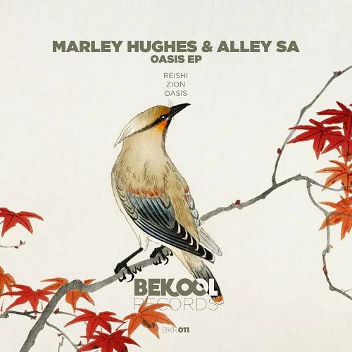 Alley SA, Marley Hughes - Oasis [BKR011]